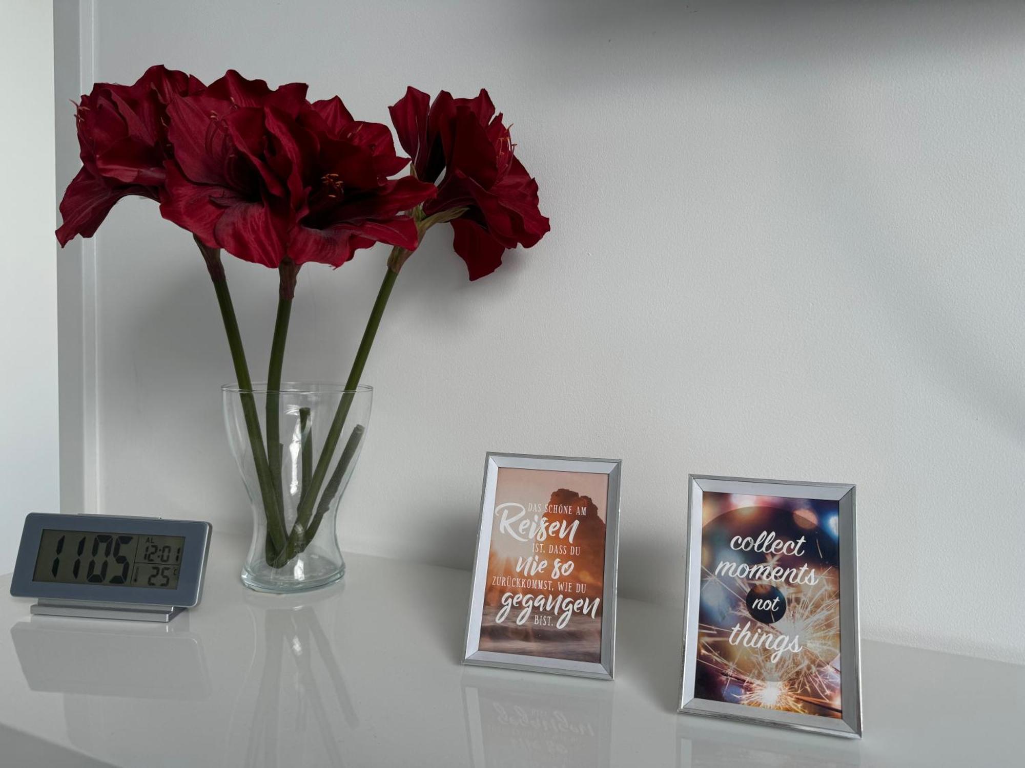 Prime Host Apartments Karlsruhe Dış mekan fotoğraf
